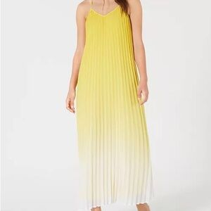 BAR III Pleated Ombre Maxi Dress Size Large NWT